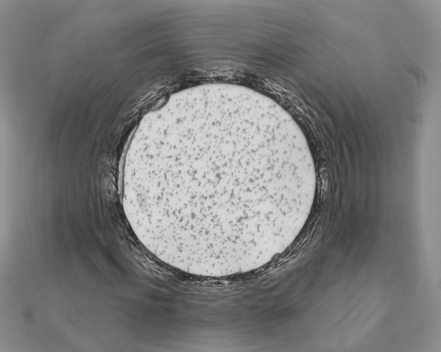 X0000111620916200908281109