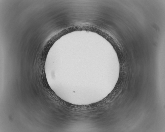 X0000111620919200908281109