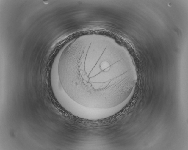 X0000111620920200908281109