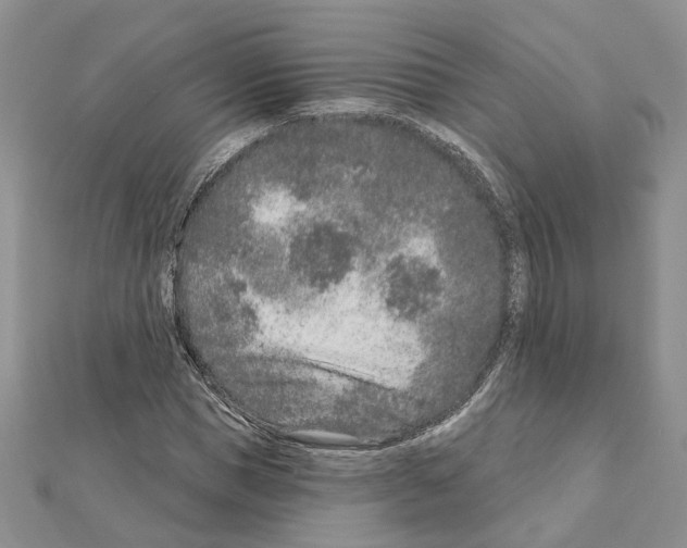 X0000111620921200908281109