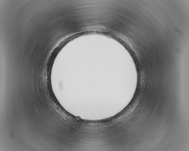 X0000111620923200908281109