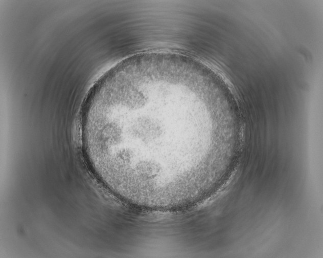 X0000111620925200908281109