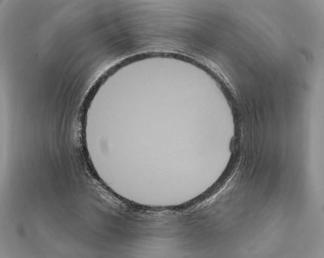 X0000111620926200908281109