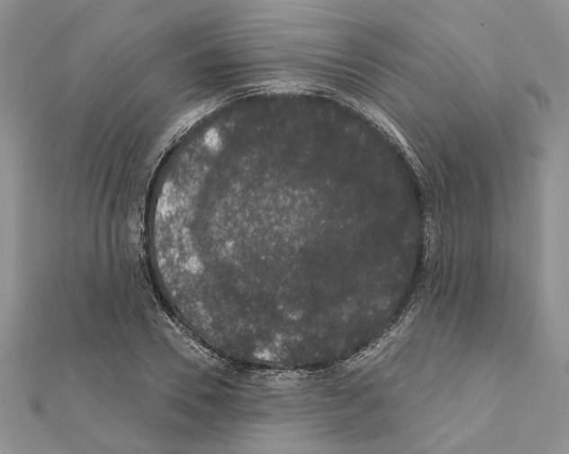 X0000111620930200908281109