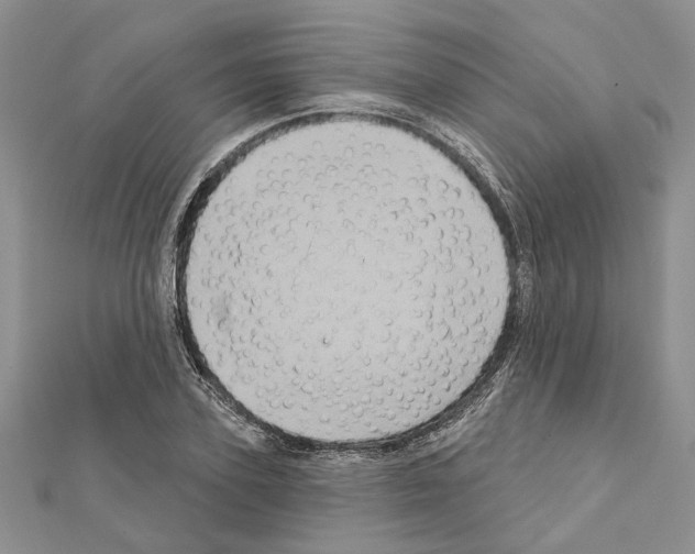 X0000111620931200908281109