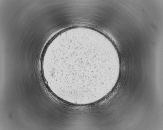 X0000111620932200908281109