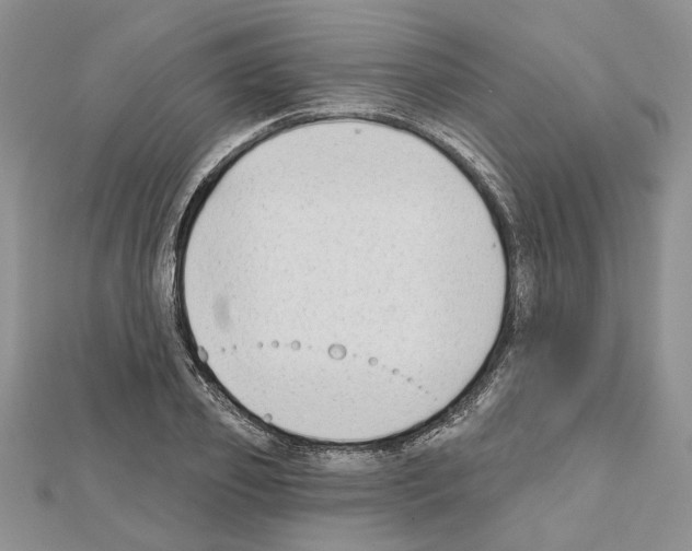 X0000111620933200908281109