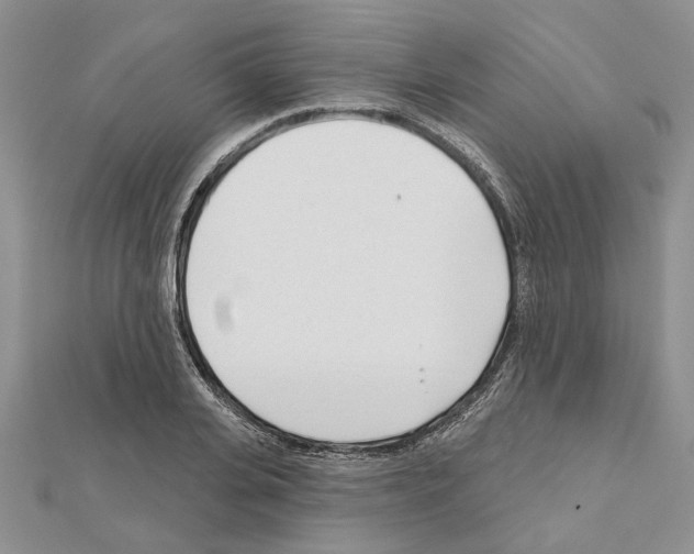 X0000111620935200908281109