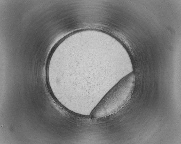 X0000111620936200908281109