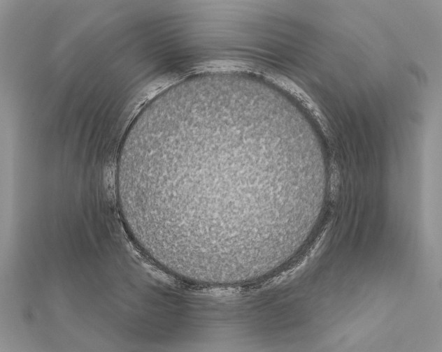 X0000111620937200908281110