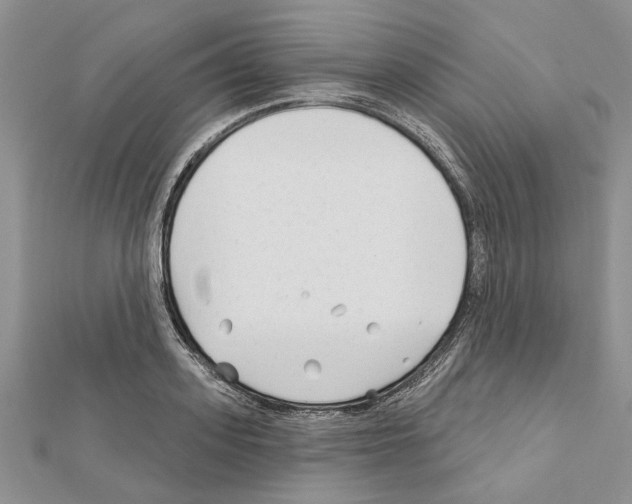 X0000111620939200908281110