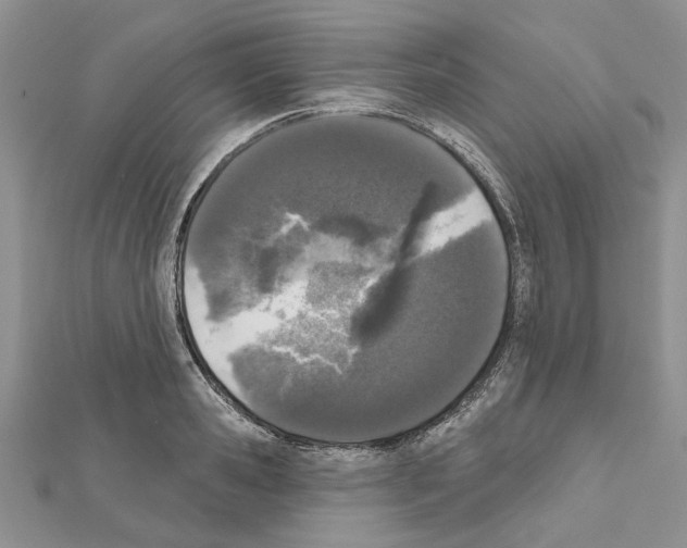 X0000111620941200908281110