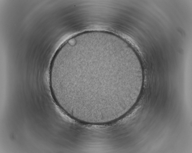 X0000111620942200908281110