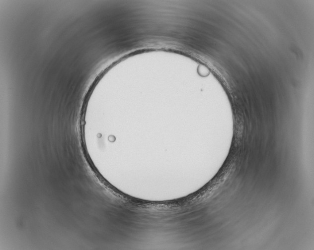 X0000111620943200908281110