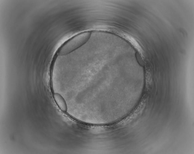 X0000111620944200908281110