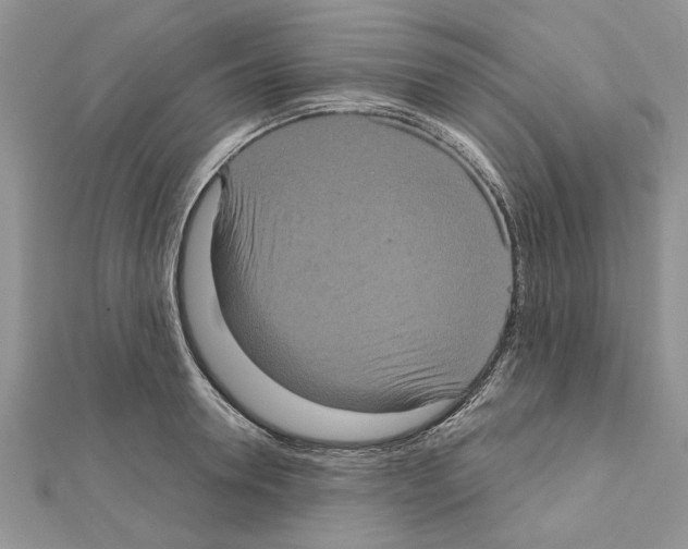 X0000111620946200908281110