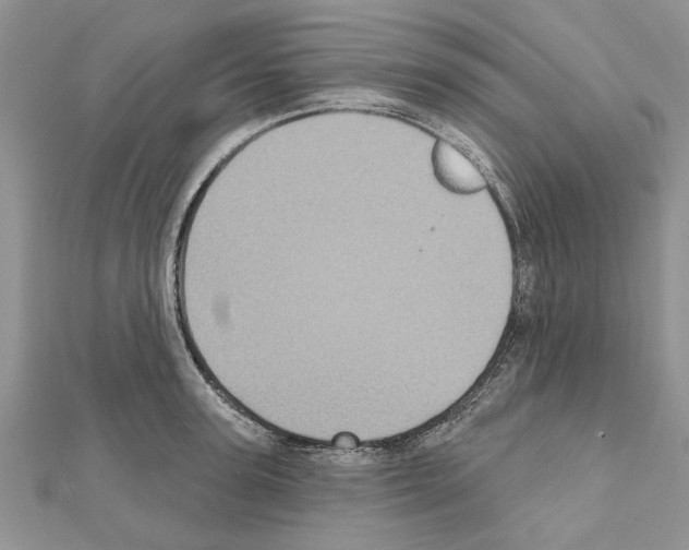 X0000111620947200908281110