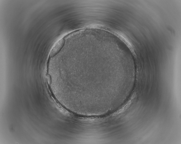 X0000111620948200908281110