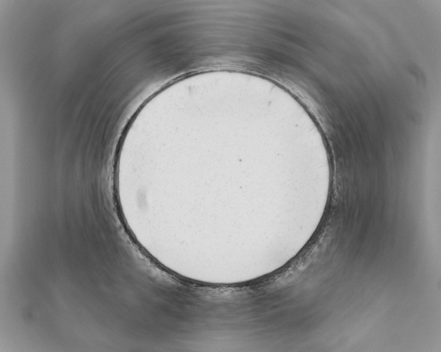 X0000111620949200908281110