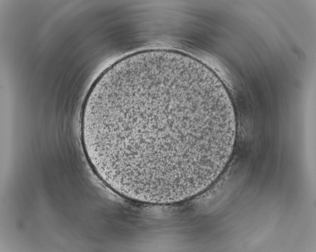 X0000111620950200908281110