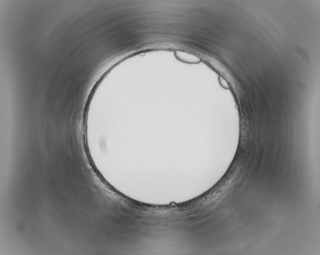 X0000111620951200908281110