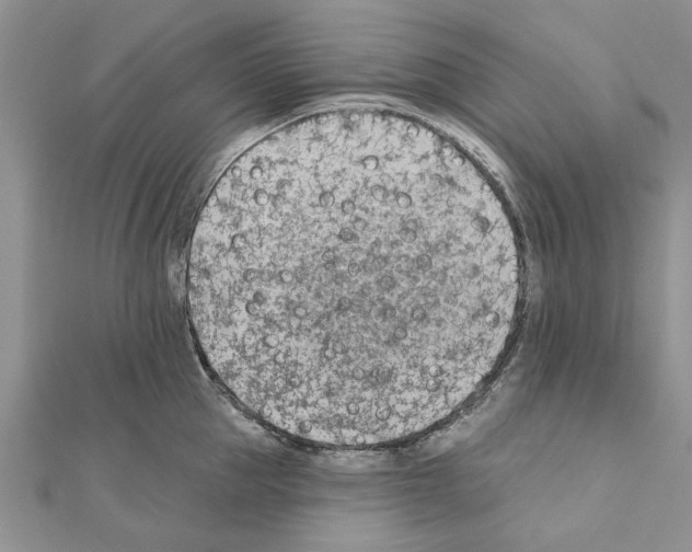 X0000111620953200908281110