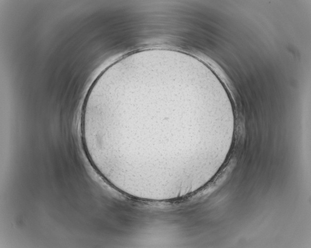 X0000111620957200908281110