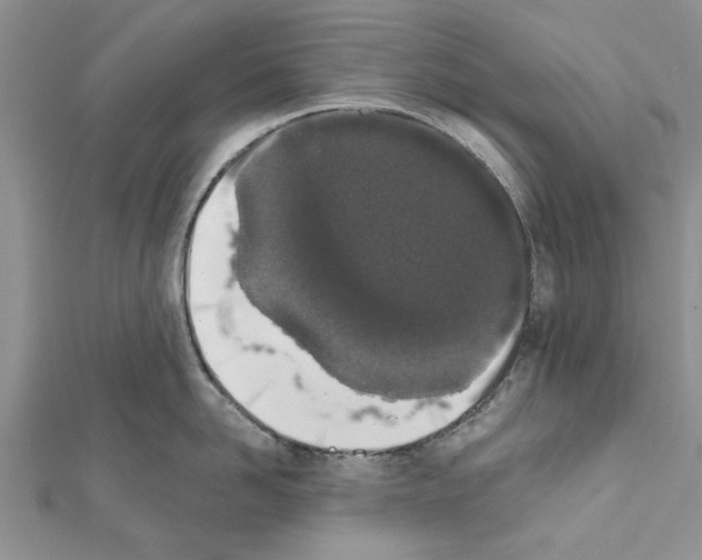 X0000111620958200908281110