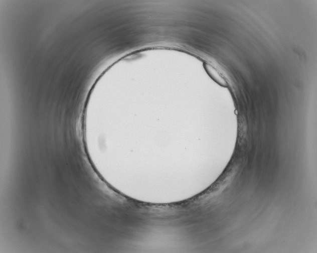 X0000111620959200908281110