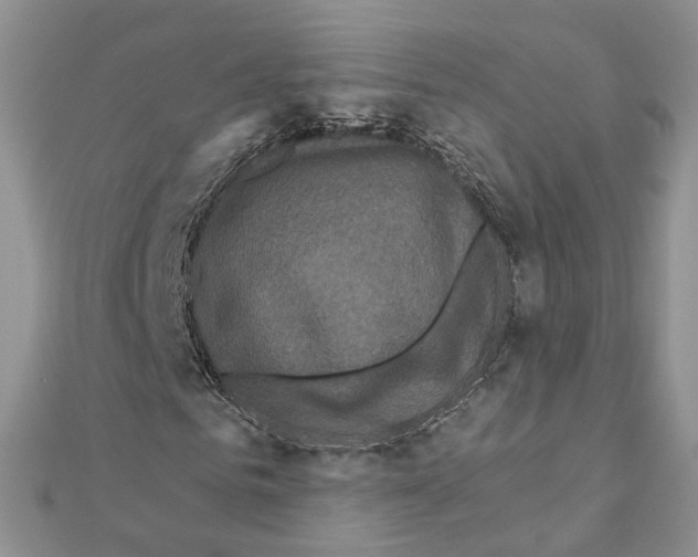 X0000111620961200908281109