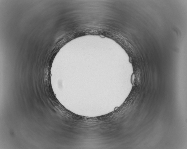 X0000111620964200908281109