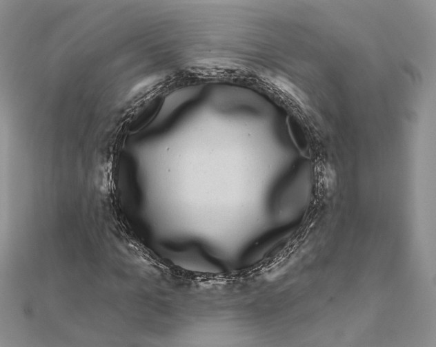 X0000111620965200908281109