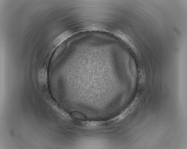 X0000111620969200908281109