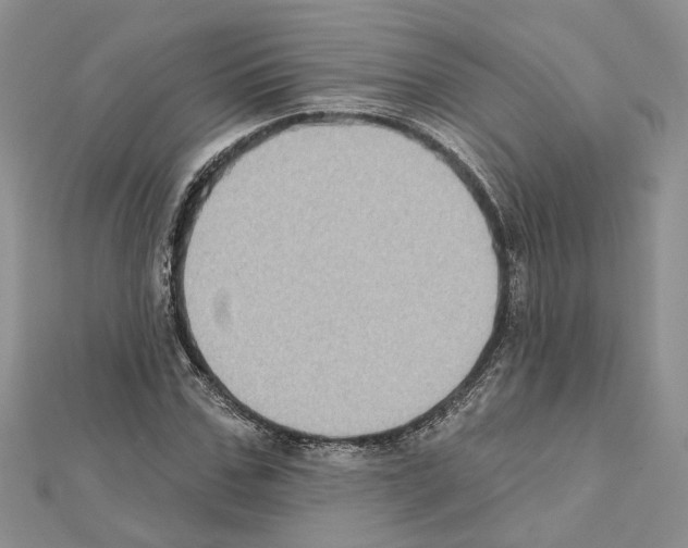 X0000111620971200908281109