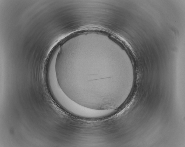 X0000111620973200908281109