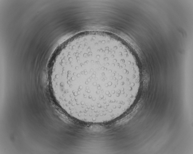 X0000111620974200908281109