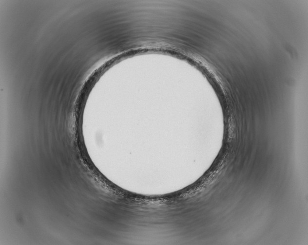 X0000111620975200908281109