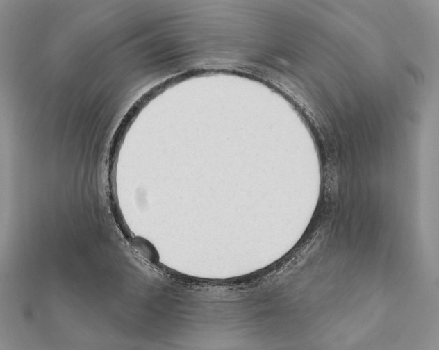 X0000111620976200908281109