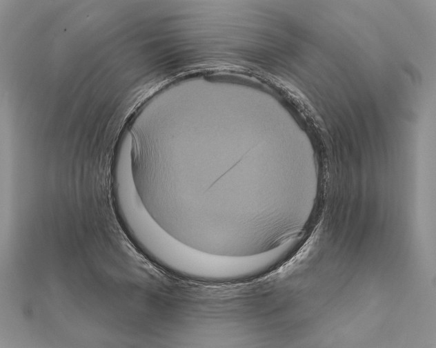 X0000111620977200908281109