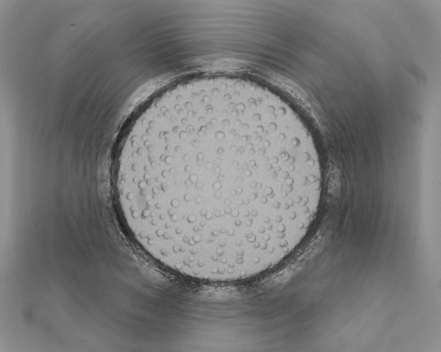 X0000111620978200908281109