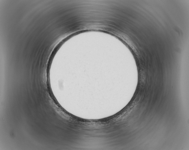 X0000111620980200908281109