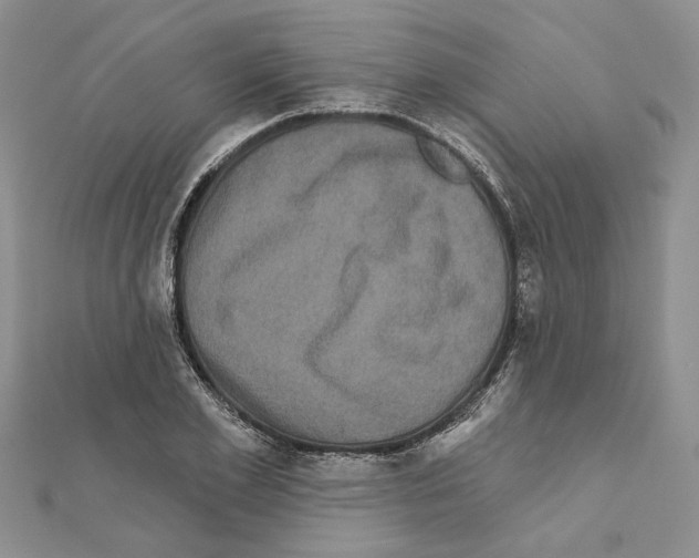 X0000111620981200908281109