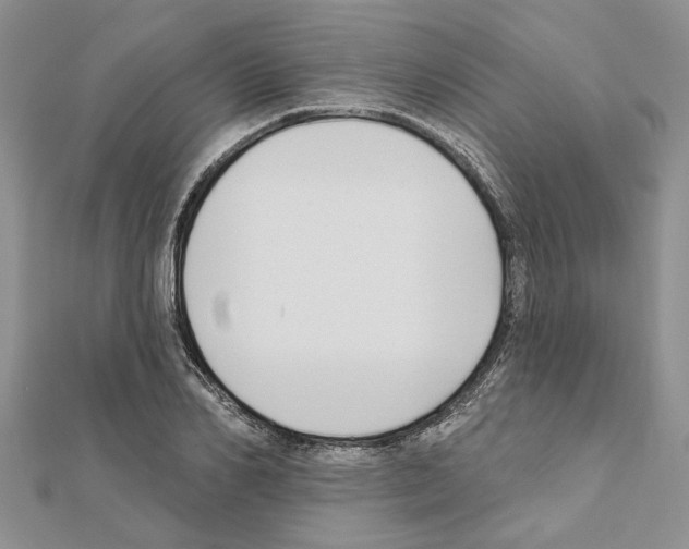 X0000111620982200908281109