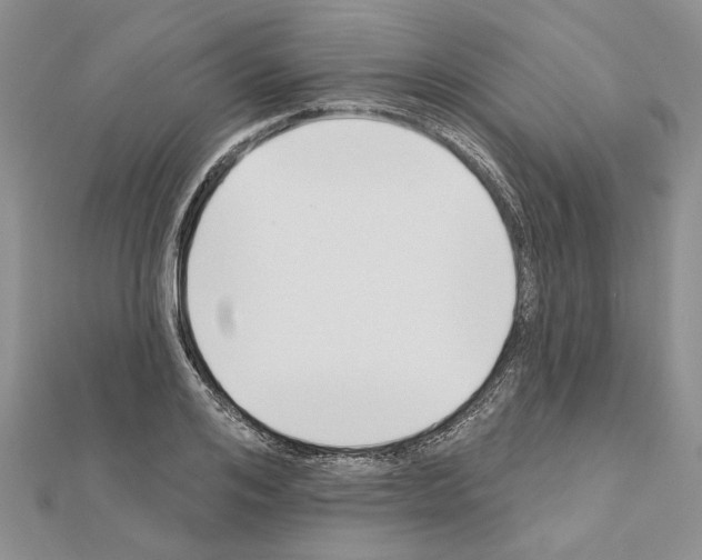 X0000111620984200908281109