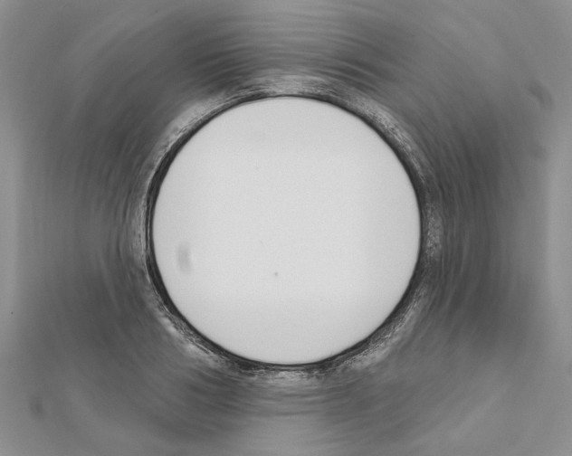 X0000111620986200908281109