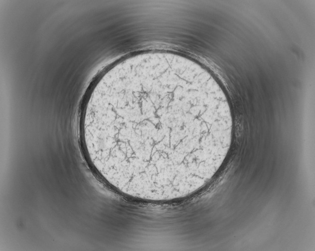 X0000111620987200908281109