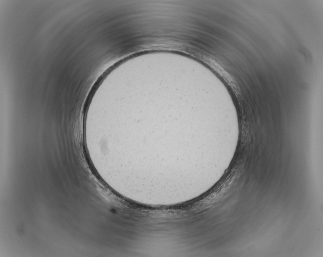 X0000111620988200908281109