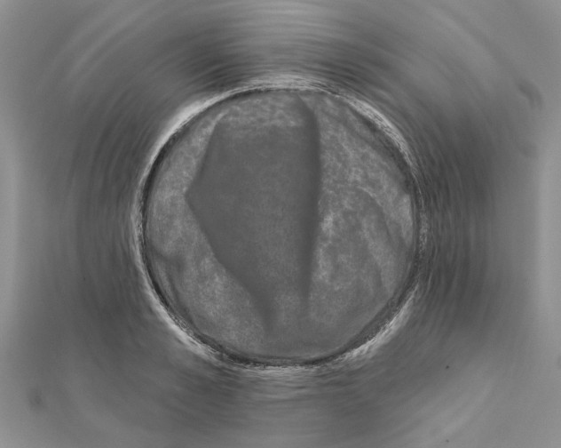 X0000111620989200908281109