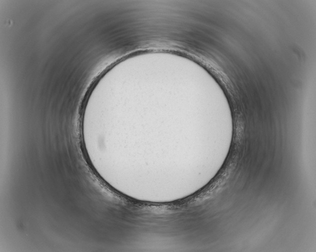 X0000111620990200908281109