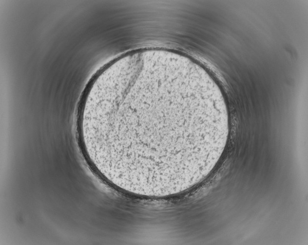 X0000111620991200908281109